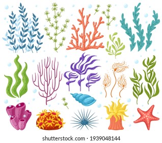 Cartoon ocean plants. Anemones, corals and seaweed, marine kelp, aquarium plants. Underwater reef flora vector illustration icons set