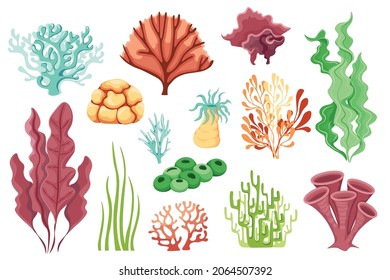 Cartoon Ocean Plants, Aquatic Life, Marine Coral Reef or Seaweeds Water Life Isolated on White Background. Underwater Corals or Sea Weeds, Wrack, Laminaria, Kelp, Algae. Vector Illustration, Icons Set