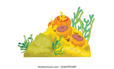 Cartoon ocean plants vector design in sea