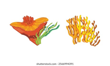 Cartoon ocean plants vector design in sea