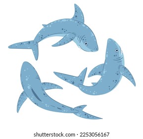 Cartoon ocean sharks. Swimming shark underwater creature, marine predator creatures, ocean shark predators flat vector symbols illustration set