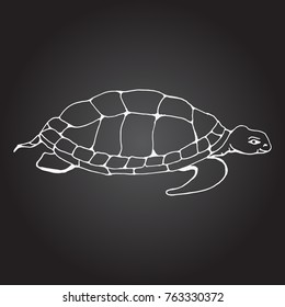 Cartoon ocean turtle. Hand drawn vector stock illustration