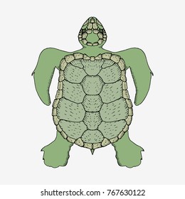 Cartoon ocean turtle. Hand drawn vector stock illustration