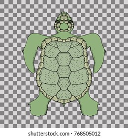 Cartoon ocean turtle. Hand drawn vector stock illustration