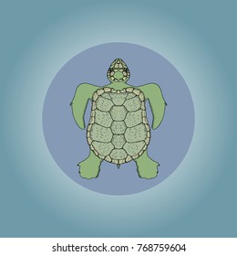 Cartoon ocean turtle. Hand drawn vector stock illustration