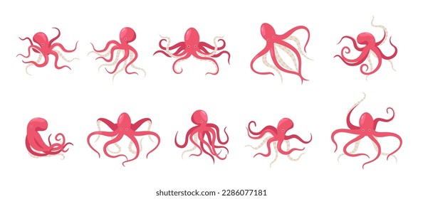 Cartoon octopus. Playful red octopus in various postures and expressions, underwater creature. Vector sea animal with tentacles collection of cartoon octopus cute illustration