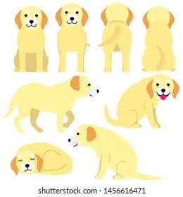 cartoon old dog postures set