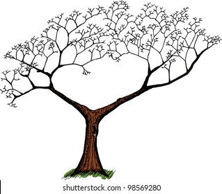 Cartoon of old tree with green grass over white
