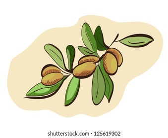  Cartoon Olives Hand-Drawn