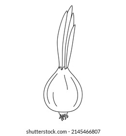 Cartoon onion with bulb, stem and leaves. Black and white vector illustration for coloring book. Healthy organic vegan food