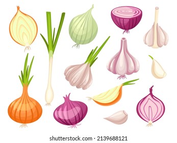 Cartoon onion and garlic. Organic onions, fresh spring raw vegetables. Cut white and red vegan food, cutting half and sliced. Cooking spices neat vector set