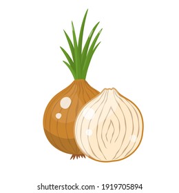 Cartoon onion whole and sliced. Vector illustration isolated on white background