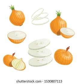 Cartoon onions set. Whole onion, cut, onion rings. Flat simple design. Vector illustration of organic farm fresh vegetables. Isolated on white background.