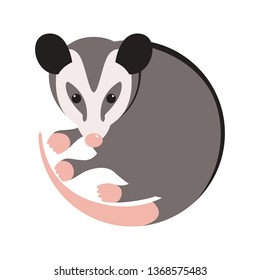  Cartoon Opossum, Vector Illustration, Flat Style,front Side
