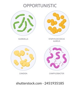 Cartoon opportunistic bacteria. Biological microorganism, opportunistic microbes and bacteria, non-pathogenic flora microorganism flat vector illustration. Microbiota in petri dish