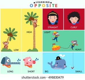 Cartoon opposite vocabulary set: Low and High, Big and Small, Long and Short, Light and Heavy, Straight and Curly, illustration, vector