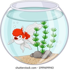 Cartoon oranda goldfish swimming in fishbowl