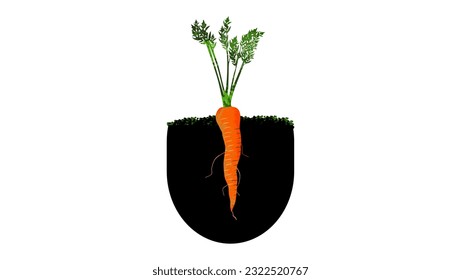 Cartoon orange carrot isolated on a transparent background, high quality vector