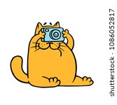 Cartoon orange cat with camera is taking pictures. Vector illustration. Pet photographer character.
