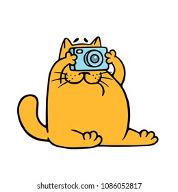 Cartoon orange cat with camera is taking pictures. Vector illustration. Pet photographer character.