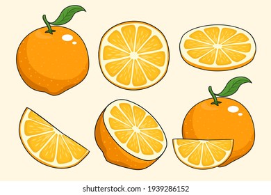 Cartoon Orange Fruit Set Collection.