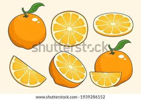 Cartoon orange fruit set collection.