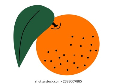 Cartoon orange. Juice citrus plant graphics for printing or packaging. Citrus garnish vector illustration. Winter theme element.