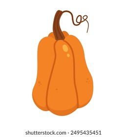 Cartoon orange pumpkin vector illustration, isolated on white background
