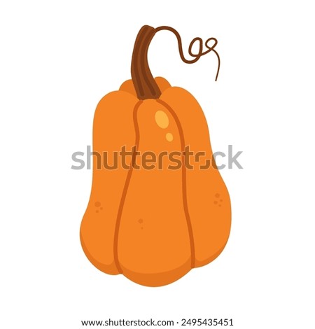 Cartoon orange pumpkin vector illustration, isolated on white background
