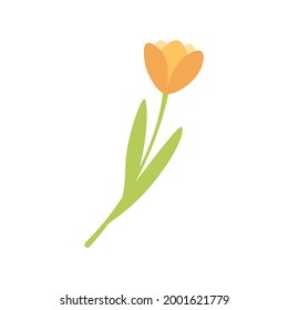 Cartoon Orange Tulip With Green Stalk Vector Illustration