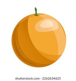 Cartoon orange, Vector illustration isolated on white background.