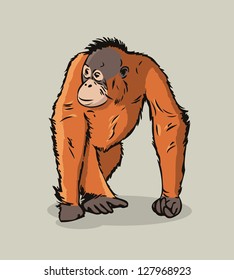 Cartoon Orangutan ape - vector illustration