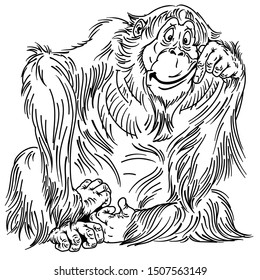 cartoon orangutan great ape. Sitting big monkey. Adult male. Isolated vector illustration 