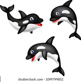 Cartoon Orca Collection Set