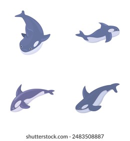 Cartoon orca icons set cartoon vector. Little cute killer whale. Whale orca, sea predator