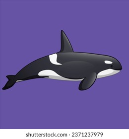 Cartoon orca isolated vector design illustration
