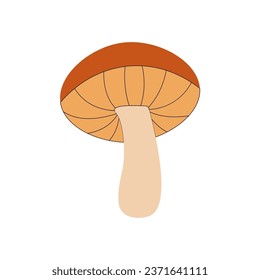 Cartoon organic mushroom isolated on white background used for magazine, book, poster, card, menu cover, web pages.