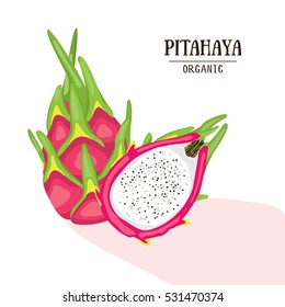 Cartoon organic pitahaya. Vector illustration. Dragonfruit  isolated on white background