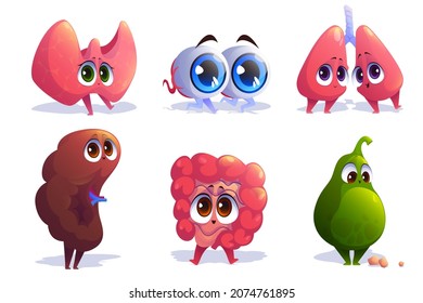 Cartoon organs characters thyroid, eyes, lungs and spleen with intestine and gallbladder. Human body anatomy, medical emoji, comic mascots with kawaii smiling faces, Vector illustration, icons set