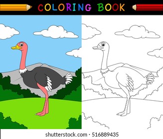 Cartoon ostrich coloring book