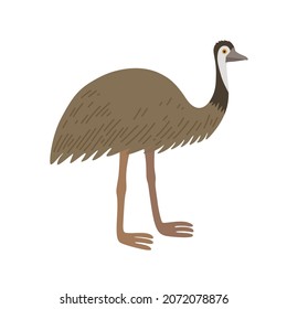 Cartoon Ostrich Emu Isolated On White Background. Bird Of Australian Fauna. 