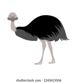 Cartoon Ostrich Gray Bird with Long Neck Flat Design Style Isolated on White Background