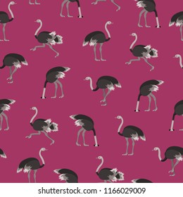 Cartoon Ostrich Gray Bird Seamless Pattern Background Flat Design Style. Vector illustration of African Exotic Animal