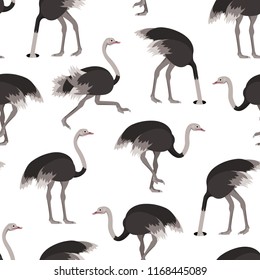 Cartoon Ostrich Gray Bird Seamless Pattern Background on a White Flat Design Style. Vector illustration of African Exotic Animal