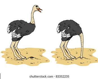 Cartoon ostrich with head below sand. Isolated on white