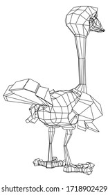 Cartoon ostrich polygonal lines illustration. Abstract vector ostrich on the white background