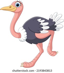 Cartoon ostrich running on white background