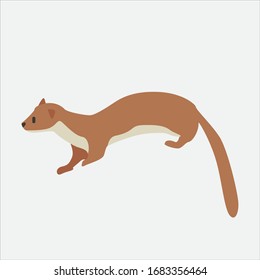 Cartoon otter. Cute Cartoon otter, Vector illustration on a white background. Drawing for children.