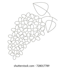 Cartoon outlined illustration with thin line black stroke. Lilac