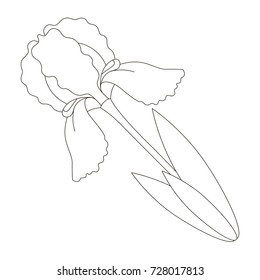 Cartoon outlined illustration with thin line black stroke. Iris